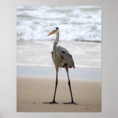 Heron Stehend auf der Strandfarbe 16x20 Poster (Vorne)