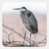 Heron Sticker (Vorderseite)