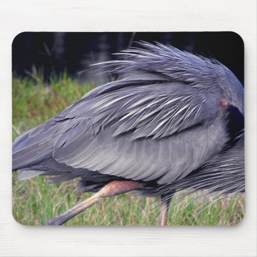 Heron Territory Mousepad (Vorne)