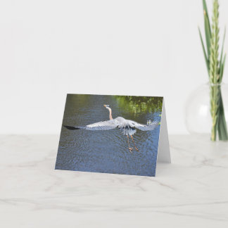 Heron über Wasser Nr. 4 - Blank Dankeskarte