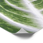 Heron und Leaf Print, Value Poster Paper (Matte) (Ecke)