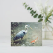 Heron und Vibrant Koi Fish Postkarte (Stehend Vorderseite)