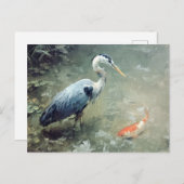 Heron und Vibrant Koi Fish Postkarte (Vorne/Hinten)