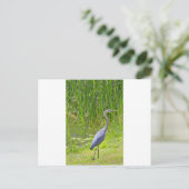 Heron Walk Postkarte (Stehend Vorderseite)