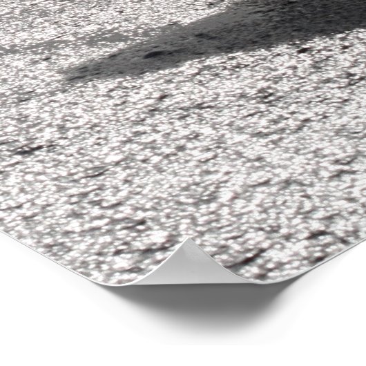 Heron Walking on Shore Poster (Ecke)