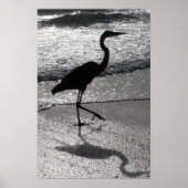 Heron Walking on Shore Poster (Vorne)