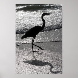 Heron Walking on Shore Poster