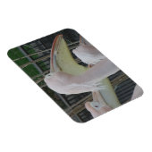 Herons 3"x4" Magnet (Rechte Seite)