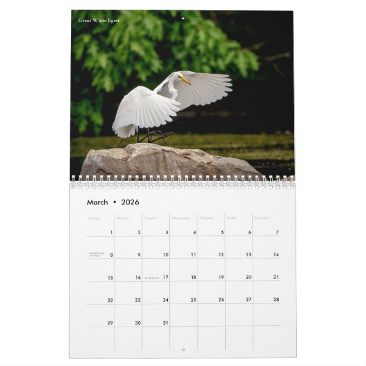 Herons and Egrets 2026 Kalender (Mär 2026)