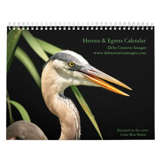 Herons and Egrets 2026 Kalender (Titelbild)