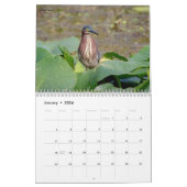 Herons and Egrets 2026 Kalender (Jan 2026)