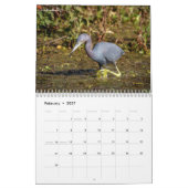 Herons and Egrets 2026 Kalender (Feb 2027)