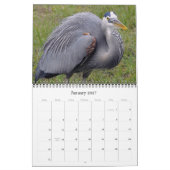 Herons groß und klein kalender (Jan 2027)