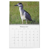 Herons groß und klein kalender (Feb 2027)