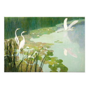 Herons im Sommer von Newell Convers Wyeth Fotodruck