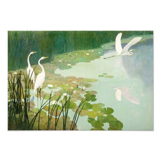 Herons im Sommer von Newell Convers Wyeth Fotodruck (Vorne)