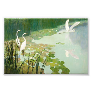 Herons im Sommer von Newell Convers Wyeth Fotodruck