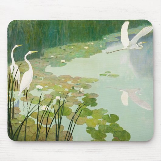 Herons im Sommer von Newell Convers Wyeth Mousepad (Vorne)