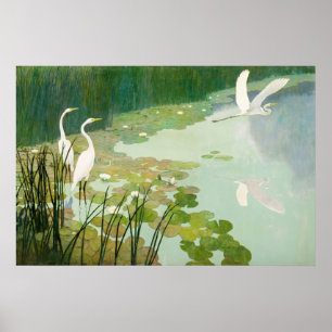 Herons im Sommer von Newell Convers Wyeth Poster