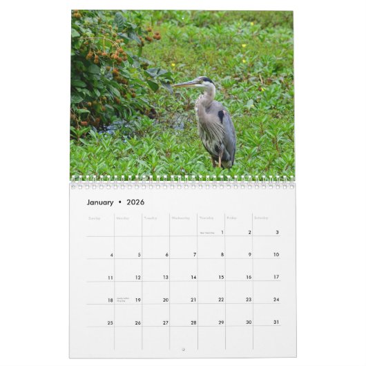 Herons-Kalender Kalender (Jan 2026)