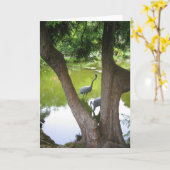 Herons Karte (Gelbe Blume)