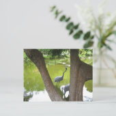 Herons Postkarte (Stehend Vorderseite)