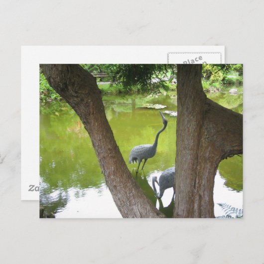 Herons Postkarte (Vorne/Hinten)