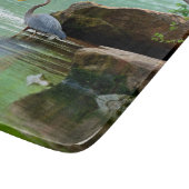 Herons Schneidebrett (Ecke)