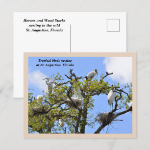 Herons und Holzstürme Feiertagspostkarte