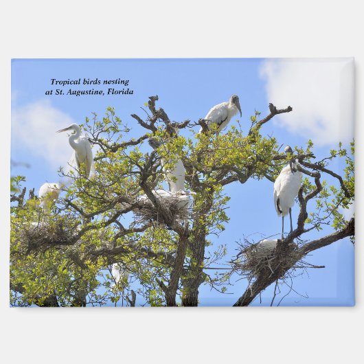 Herons und Holzstürme Magnet (Vorderseite)
