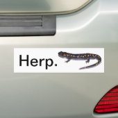 Herp. Autoaufkleber (Salamander-Version) (Auf Auto)