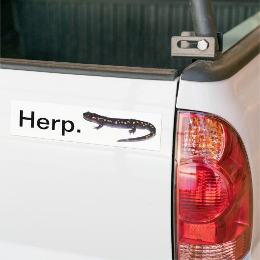 Herp. Autoaufkleber (Salamander-Version) (Auf Lkw)