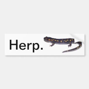 Herp. Autoaufkleber (Salamanderversion)