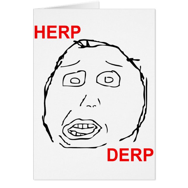Herp Derp Herp Derping (Vorne)