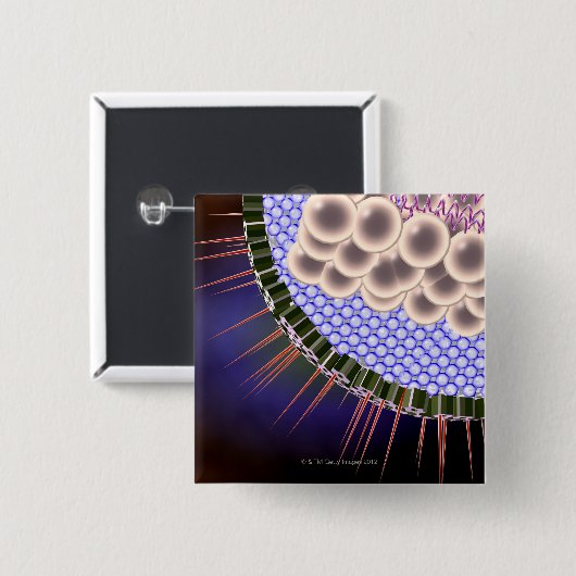 Herpes Virus Button (Vorne & Hinten)