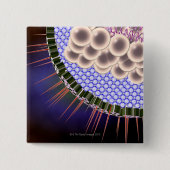 Herpes Virus Button (Vorderseite)