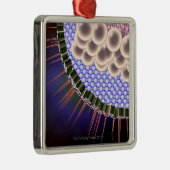 Herpes-Virus Ornament Aus Metall (Rechts)