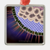 Herpes-Virus Ornament Aus Metall (Vorne)