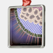 Herpes-Virus Ornament Aus Metall (Links)