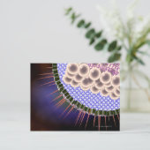Herpes Virus Postkarte (Stehend Vorderseite)