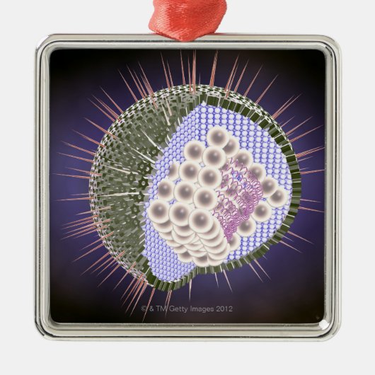 Herpes-Virus-Struktur 2 Silbernes Ornament (Vorne)