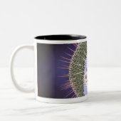 Herpes-Virus-Struktur 2 Zweifarbige Tasse (Links)