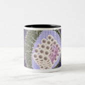 Herpes-Virus-Struktur 2 Zweifarbige Tasse (Mittel)
