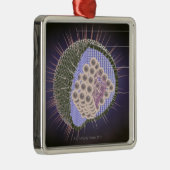 Herpes-Virus-Struktur Silbernes Ornament (Rechts)
