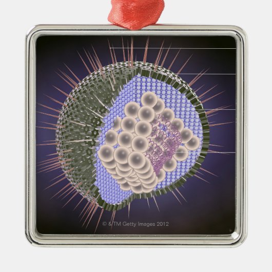 Herpes-Virus-Struktur Silbernes Ornament (Vorne)