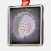 Herpes-Virus-Struktur Silbernes Ornament (Links)