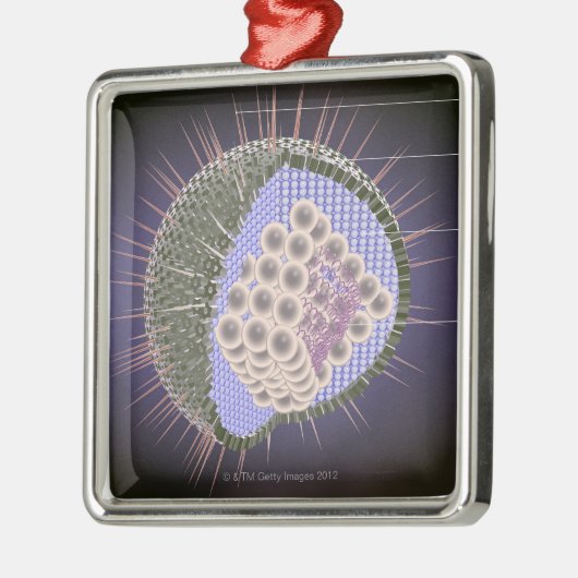 Herpes-Virus-Struktur Silbernes Ornament (Links)