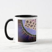 Herpes-Virus Tasse (Links)