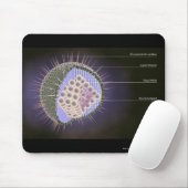 Herpes-Virusstruktur Mousepad (Mit Mouse)