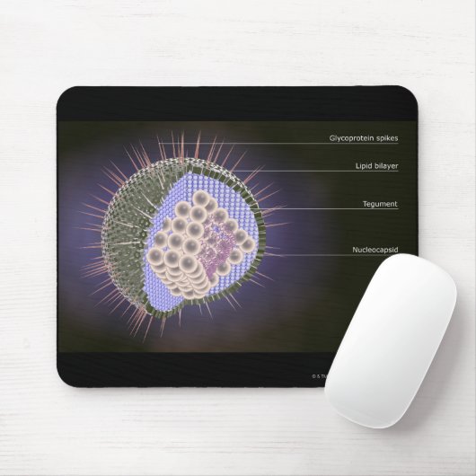 Herpes-Virusstruktur Mousepad (Mit Mouse)